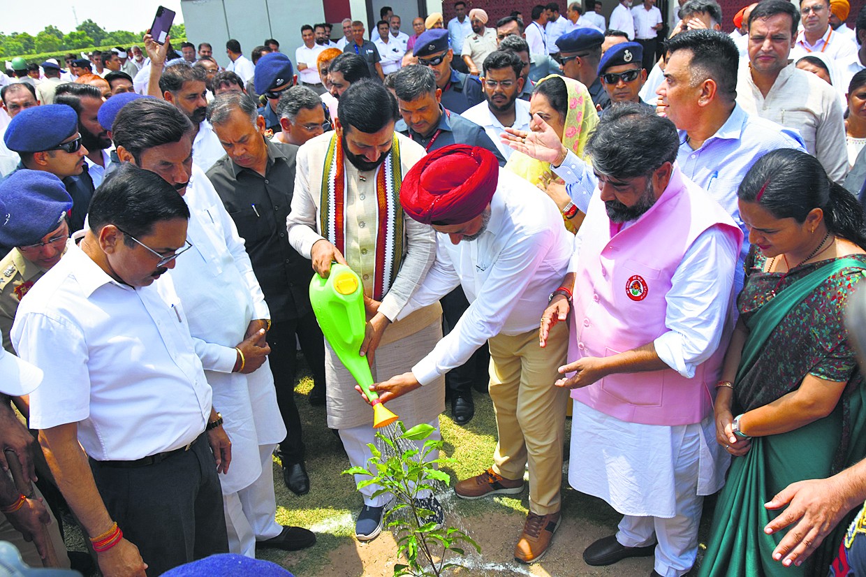 A tree in the name of the mother, a plant in the name of the brave soldier.